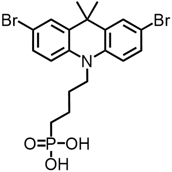 DMAcPA